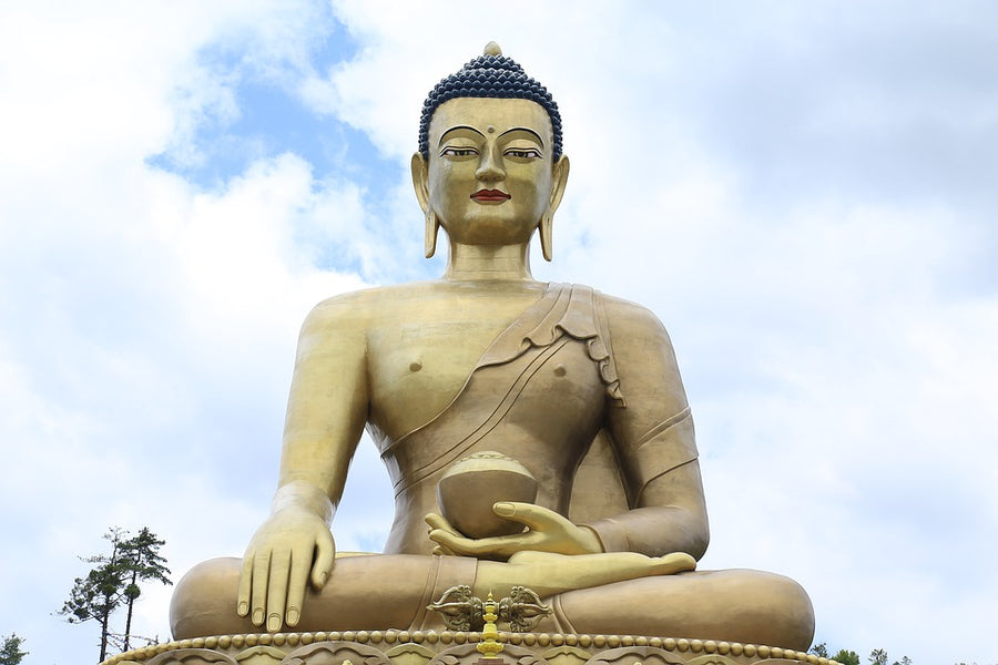 What does Buddha mean?